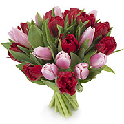 Bukiet  21 tulipanów czerwono- różowych
