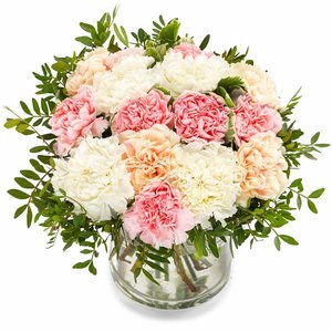 Bukiet Pastelowych Goździków  - kwiaty z dostawą do domu pocztą lub kurierem - Polska i za granicę