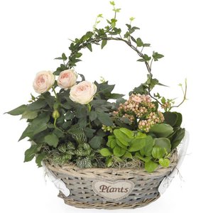 Dzień Matki Poczta lub Kurier kwiaty - Różowy ogródek