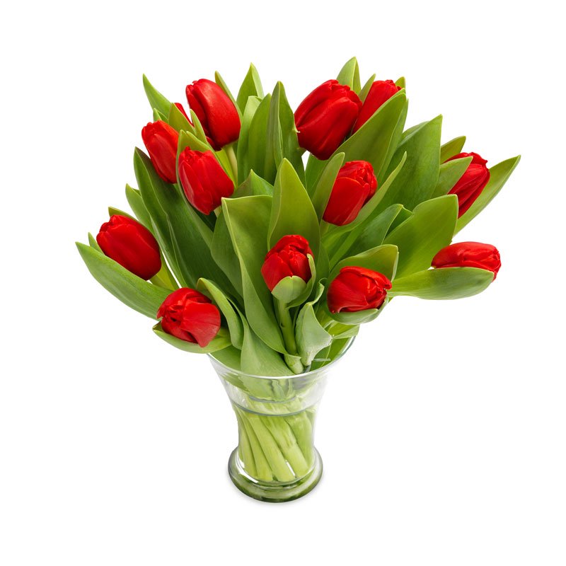 Bukiet Czerwonych Tulipanów